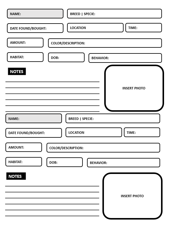 Printable Reptile Care Log Book